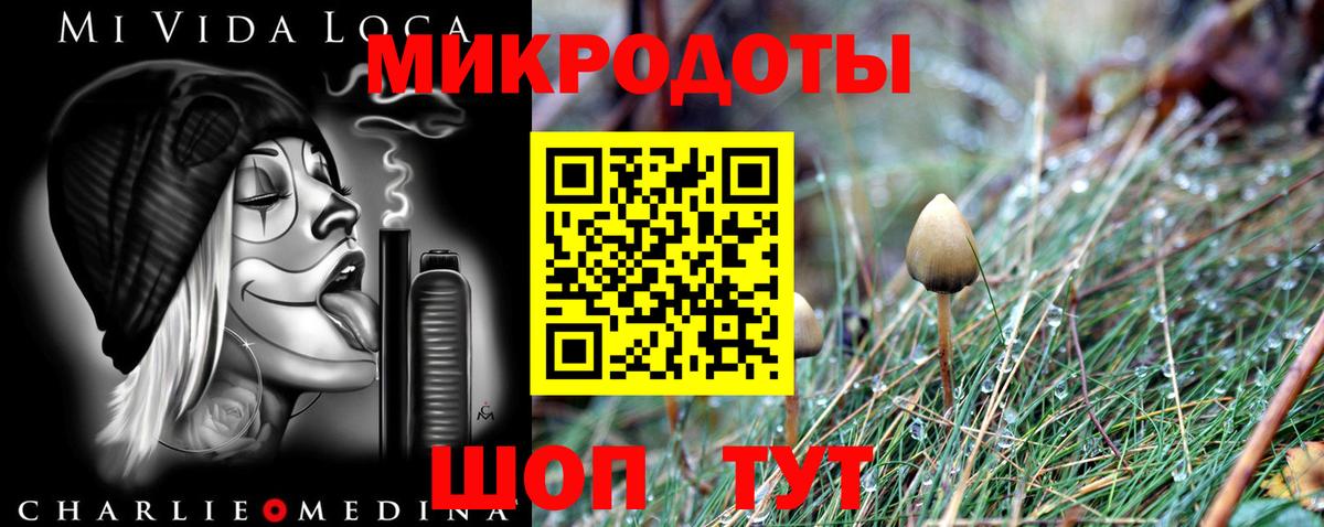 Галлюциногенные грибы Magic Shrooms  Вход с VPN  Псилоцибиновые грибы мухоморы  Богородицк 